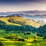 360_F_50134069_oESZdArAXu3vkoixTdtdAfvRNj0fuVmZ